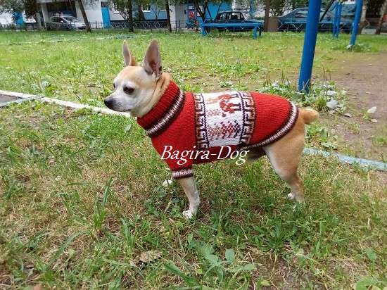 Свитера для собак ручной работы в Москве фото 61