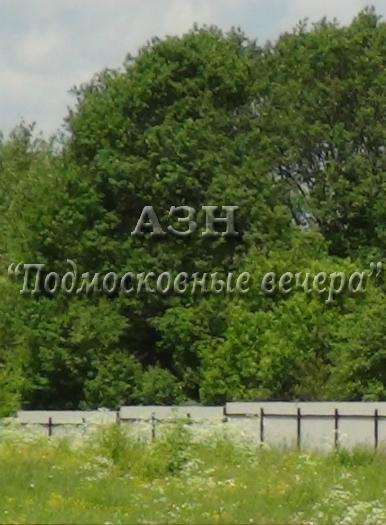 realty_mapper3.plot_in_locationСадовое некоммерческое тов-во. Площадь 10.00 сот.Есть Электричество.