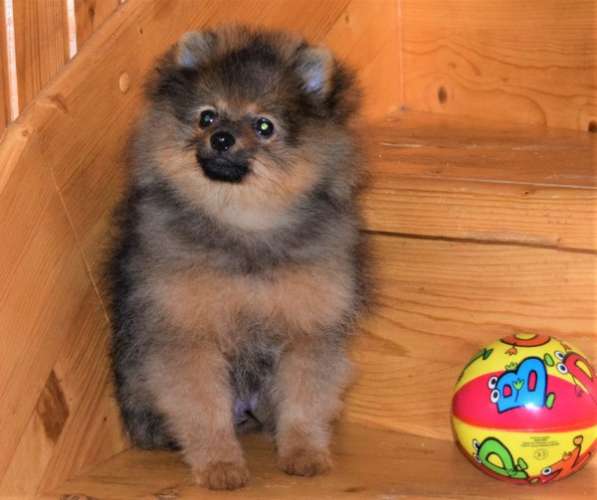 Очаровашка в Одинцово фото 15