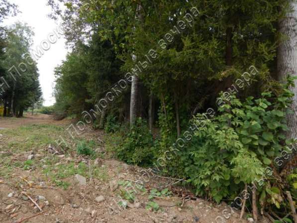 realty_mapper3.plot_in_locationПлощадь 15.00 сот.Есть Электричество, Газ. в Москве фото 14