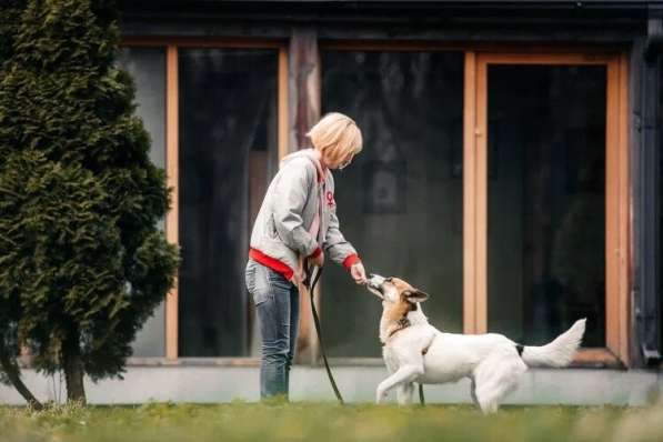 Тунис в поисках любящей семьи в Москве фото 42