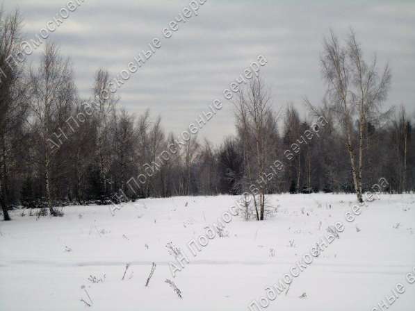 realty_mapper3.plot_in_locationПлощадь 253.00 сот.Есть Электричество, Газ. в Москве фото 15