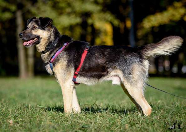 -Москва, услышьте зов Персея! в Москве фото 7