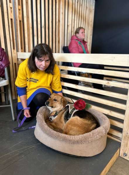 Очаровательная мини-рыжуля Лола ищет дом в Москве фото 8