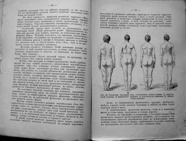 Раритет. Ранке Физические различия человеческих рас 1902 год в Москве фото 9