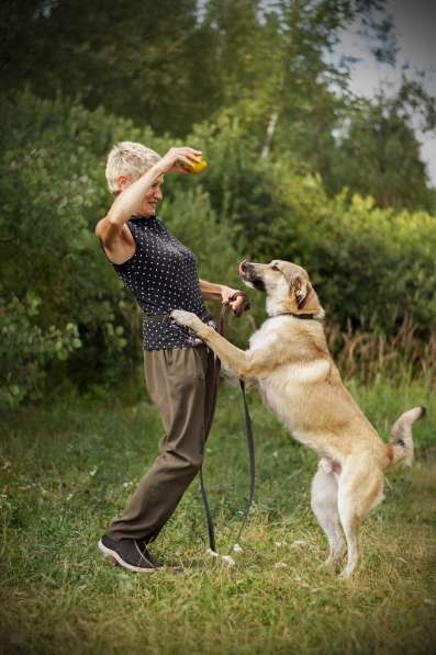 Филимон — дружелюбный пес в добрые руки! в Москве фото 5