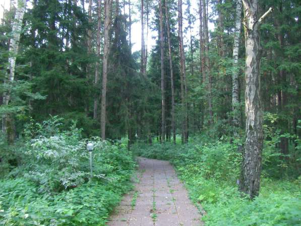 Продаётся база отдыха в Домодедове фото 34