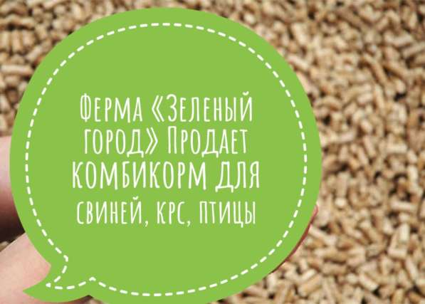 Ферма « Зелёный город» в Миассе фото 5