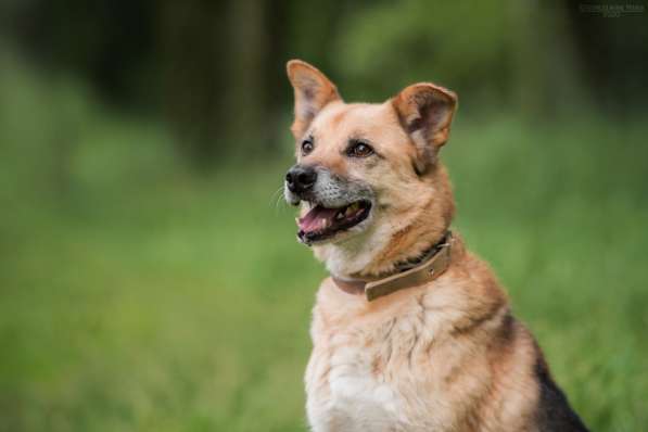 Харизматичный Марк ищет дом в Москве фото 26