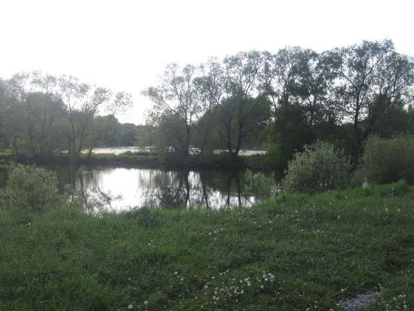 Участок 24 сот. в д. Булгаково в Бронницах