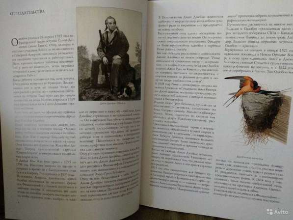 Джеймс Одюбон: Птицы Америки (в футляре) в Санкт-Петербурге фото 3