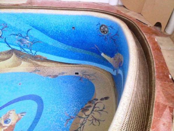Мозаика для облицовки бассейнов, художественные и матричные мозаичные панно. в Москве фото 23