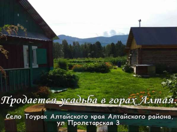 Продаётся усадьба в горах Алтая