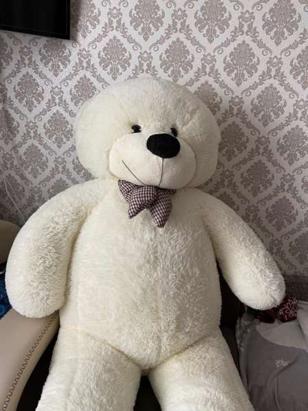 Продам плюшевого медведя в Красноярске