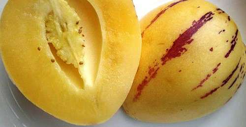 Вкусная экзотика - Пепино - дынная груша в Москве фото 5