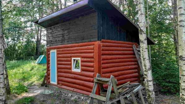 Два уютных домика с баней у реки, 50 соток участок в Пскове фото 8