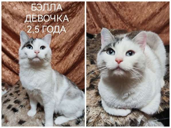 ПОЖАЛУЙСТА, НЕ ПРОХОДИТЕ МИМО!!! в фото 7