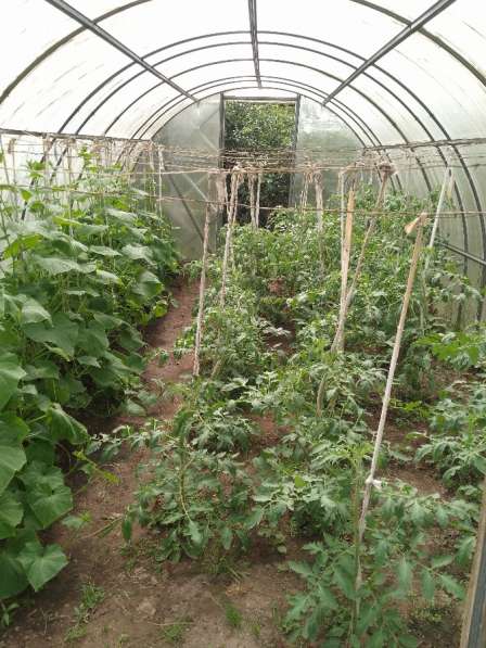 Дом в Иванове фото 3