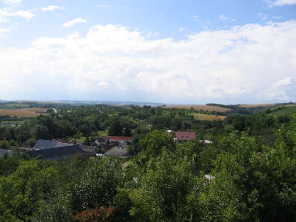Дача в Германии с живописным видом в Москве фото 9