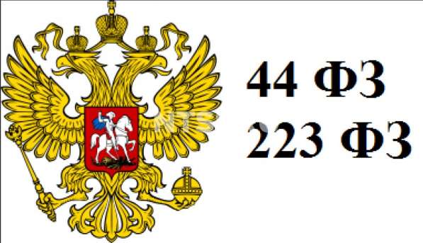 Заявка по 44-ФЗ, 223-ФЗ (Тендерное сопровождение) в Красноярске