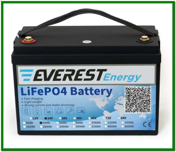 Everest Energy LFP-24V60А в Санкт-Петербурге фото 3