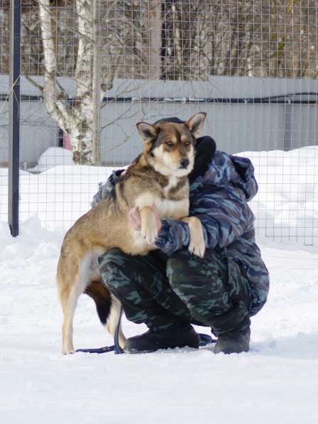 Жду тебя, мой Человек