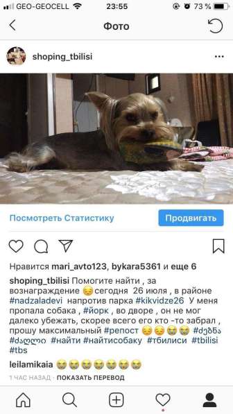 Пропала собака!помогите найти! в 