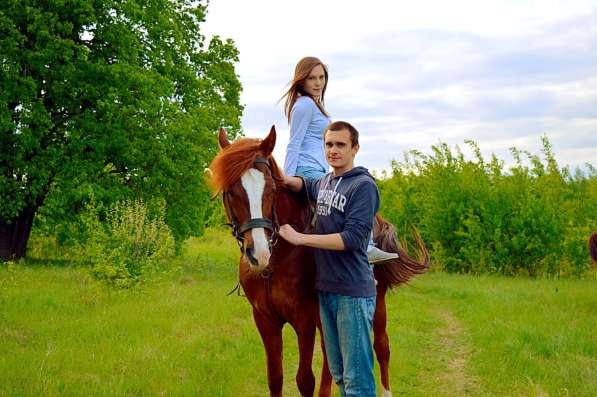 Романтическая конная прогулка в Нижнем Новгороде фото 4