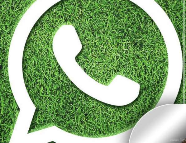 Работа в ватсап