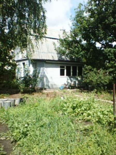 Продаётся садовый участок в НТС Строитель-4, с домиком в Липецке фото 11