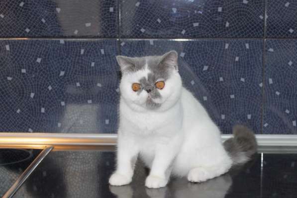 ТОПАЗ в Москве фото 7