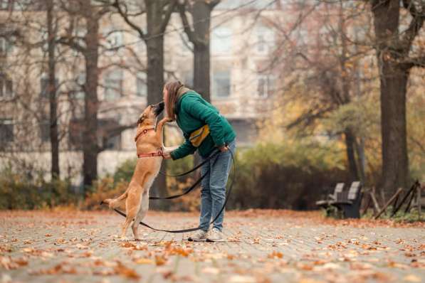 Чудесная Бриа ищет семью в Москве фото 23