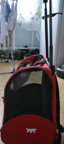 Сумка рюкзак на колесиках для маленьких средних собак складн в Раменское