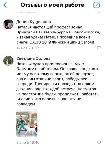 Подготовка к выставкам Дрессировка в Екатеринбурге