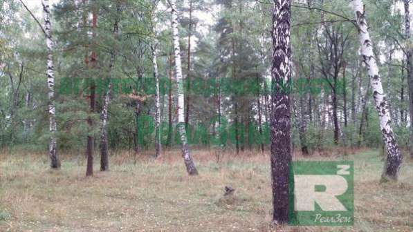 Продается земельный участок 40 соток в деревне Корсаково в Обнинске фото 4