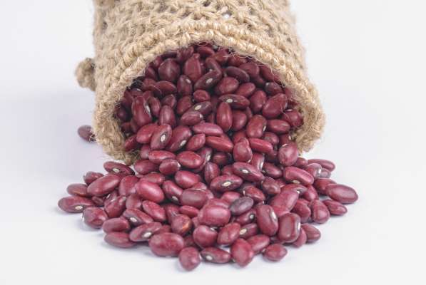 Natural Beans from Kyrgyzstan 2018 New Crop 100% в 