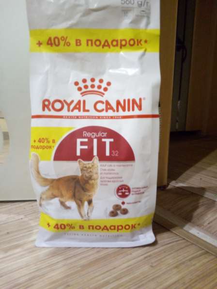 Продам корм для кошек раял канин