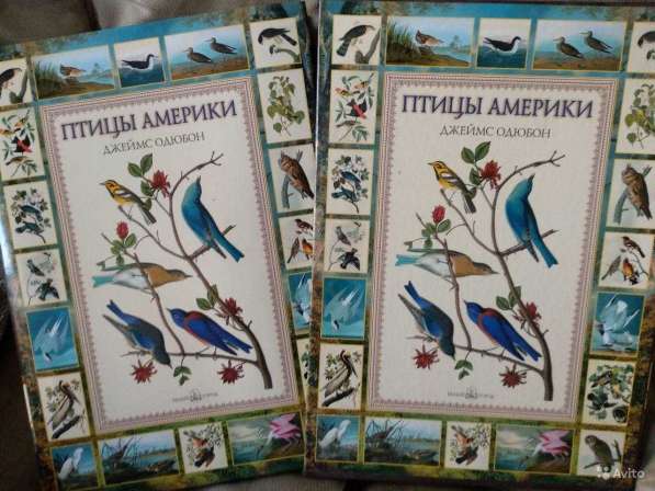 Джеймс Одюбон: Птицы Америки (в футляре) в Санкт-Петербурге