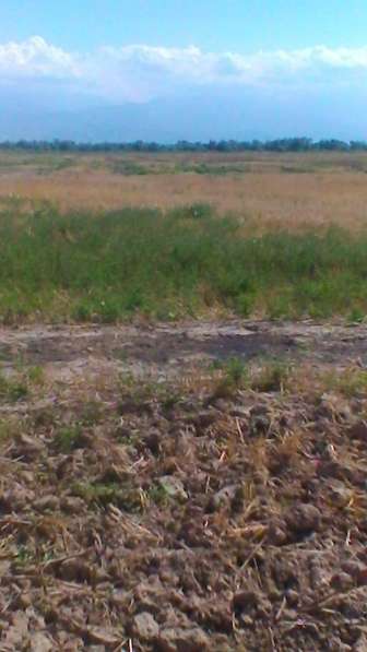 Продаётся в фото 5