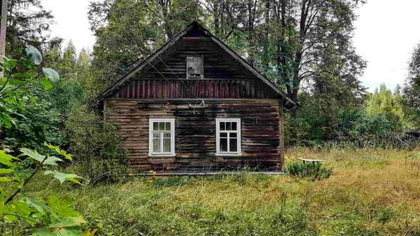 Дом на эстонском хуторе в хвойном лесу под Старым Изборском в Пскове фото 10