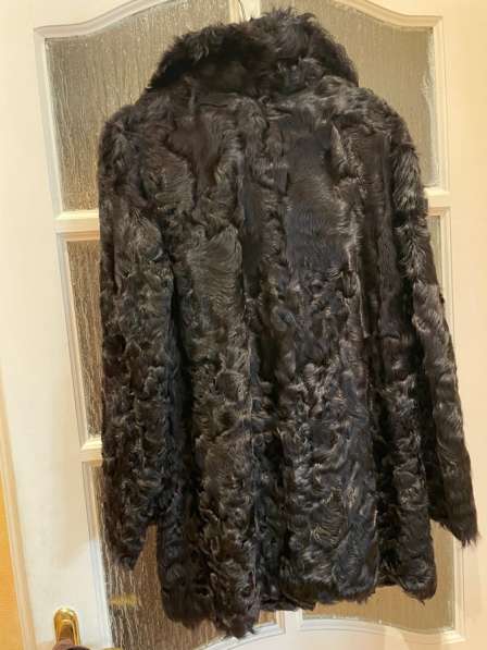 Верхняя одежда в Калининграде