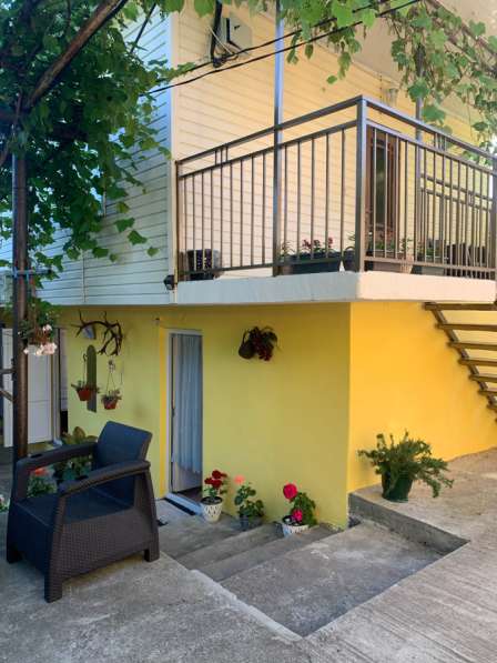 Отдых в Сочи