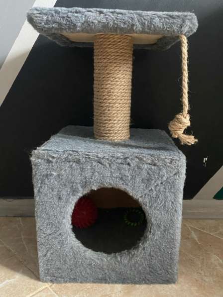 Домик для котят в Пушкино