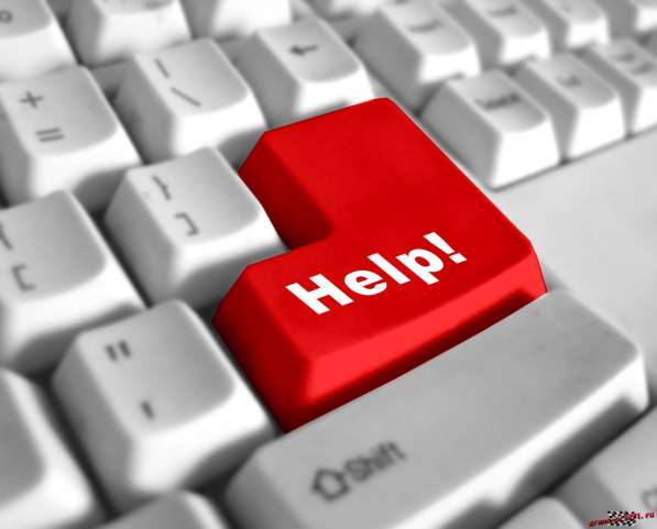 Помощь по сайту в Москве