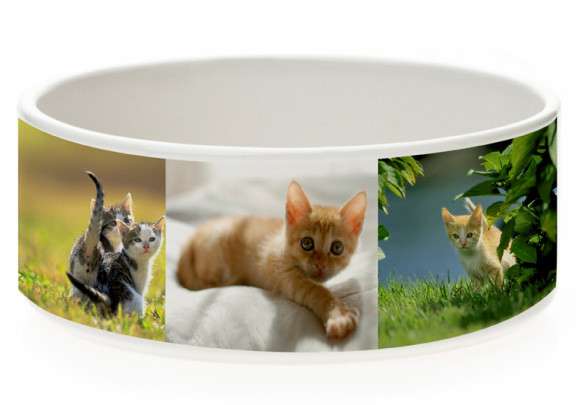 Печать на миске для кошек и собак в Краснодаре