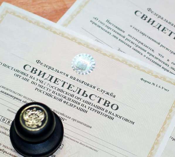 Удаление записи о недостоверности сведений в налоговой в Воронеже фото 3