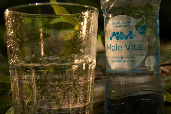 Mole Vita в Крымске фото 5