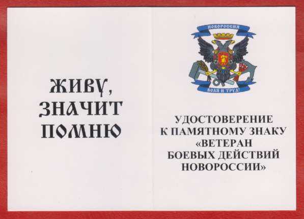 Россия Ветеран боевых действий Новороссии бланк документ в Орле фото 4
