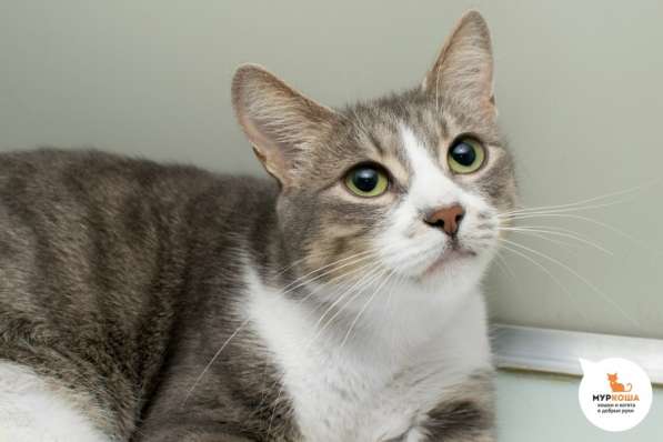 Вы запомните встречу с Алезией