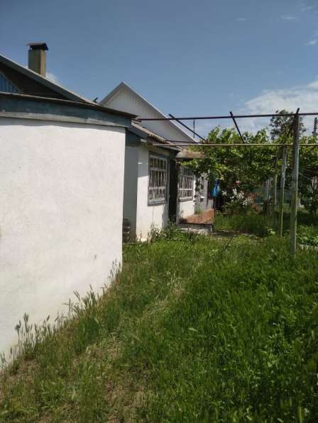 Продается дом, 6 соток, собственник в Приморско-Ахтарске фото 7